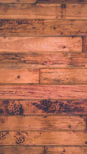 泛站和蜘蛛池截图1