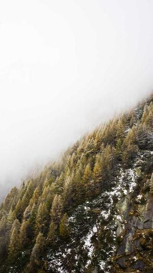 泛目录程序代做截图1