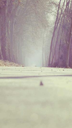 seo引擎优化截图3