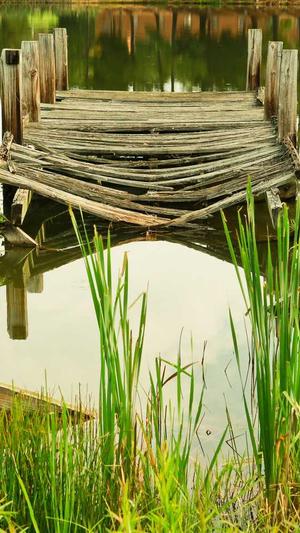 seo站长论坛截图1