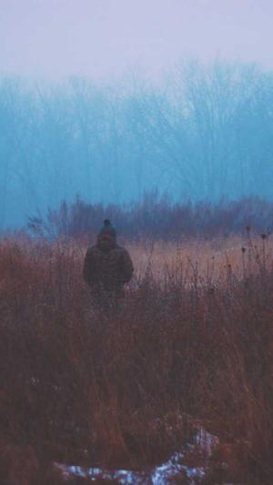 聚合泛目录v5.0站群截图3