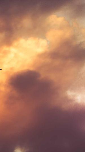 seo培训教程截图1