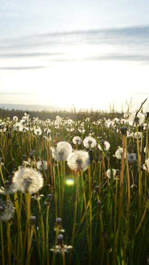 不错的蜘蛛池程序截图2