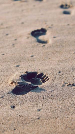 网站建设维护截图4