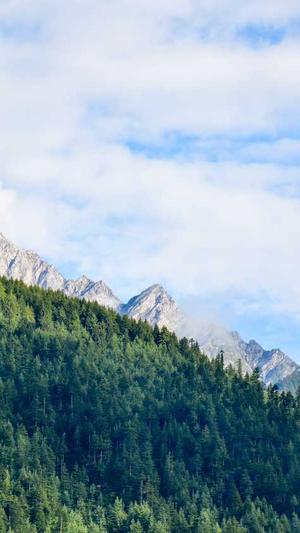 蜘蛛池引蜘蛛视频教程截图3