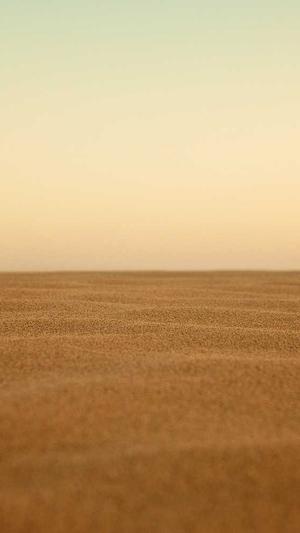 泛目录最新收录技巧截图3