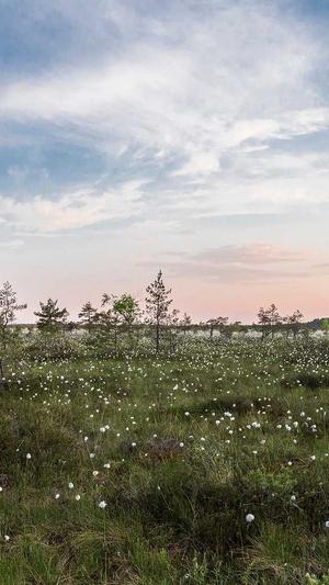 狼雨seo教程截图3