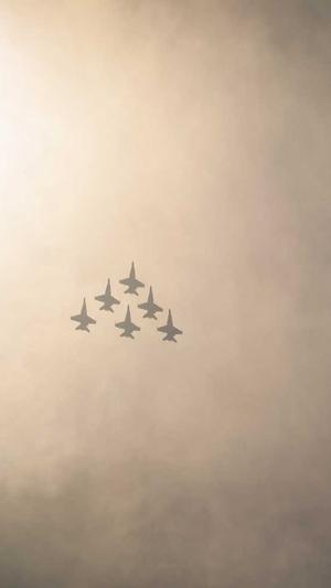 天津搜狗蜘蛛池截图3