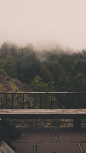 seo排名推广工具秒收录截图1