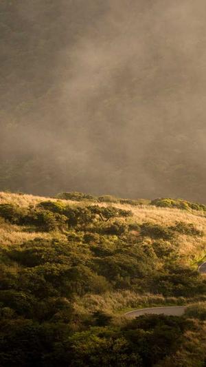 重庆seo网络优化公司截图1