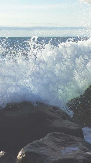 php网站建设截图4