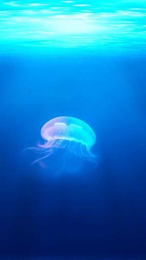 鄂州网站建设截图1