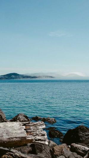 seo优化文档截图5