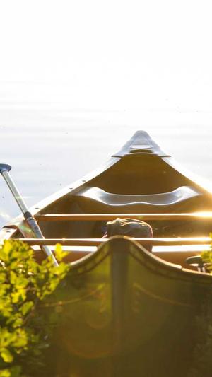 成都网站建设开发公司截图2