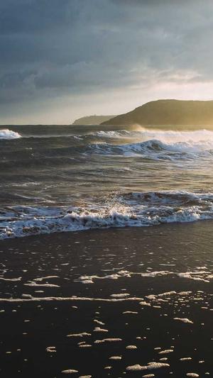 百度seo收录工具截图1