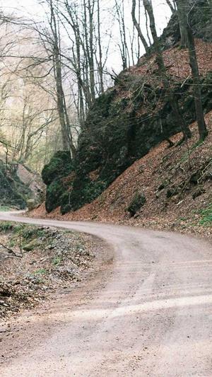 蜘蛛池引蜘蛛视频教程截图1