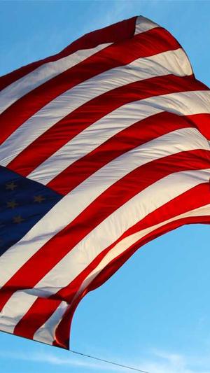 小旋风泛目录安装截图4