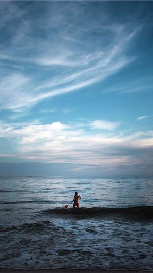 在线站长seo工具截图5