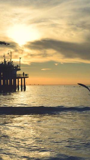 郑州靠谱站点seo工具截图1