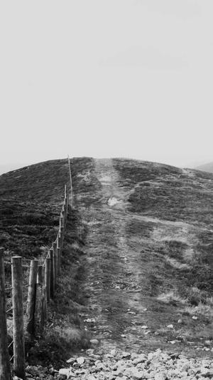 网站建设优化公司截图1