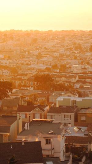 seo优化工具原理截图3