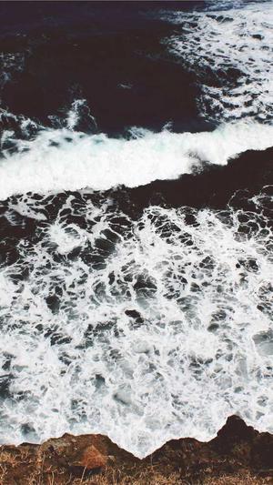 seo专业优化截图1