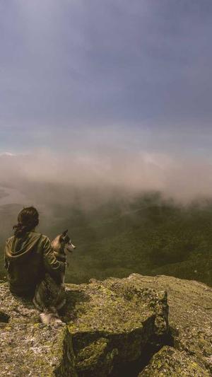 seo刷排名工具site截图5