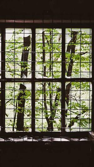 成都网站建设开发公司截图4