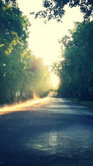 seo排名优化工具 site截图1