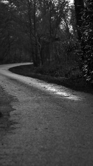 蜘蛛池怎么租截图1