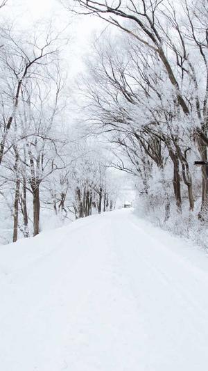 seo优化用哪些工具截图3