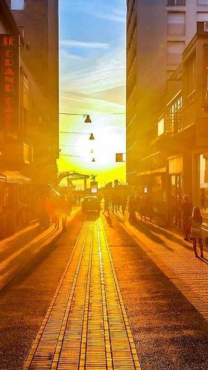 自助seo优化工具截图2