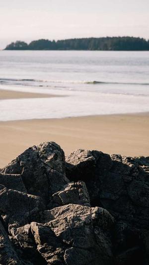 出名的网站建设公司截图2