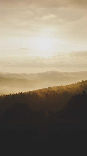 蜘蛛池可以提高收录么截图3