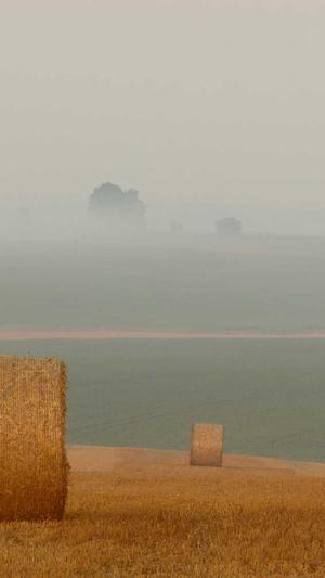 成都公司网站建设截图4