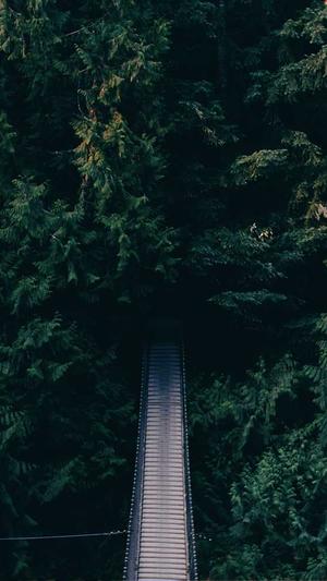 seo专用工具截图5