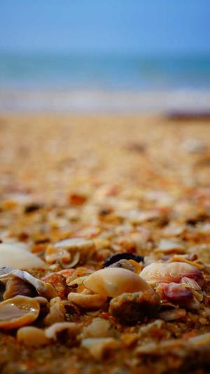 站长seo综合查询工具截图2