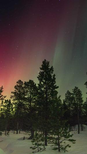 网站seo优化工具截图1