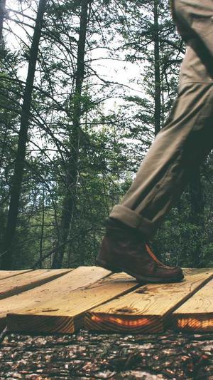 石家庄网站建设公司截图2