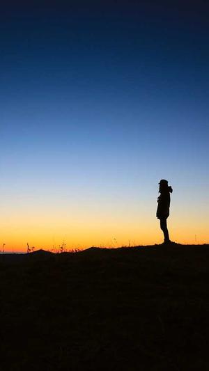 最好的蜘蛛池网站是截图3