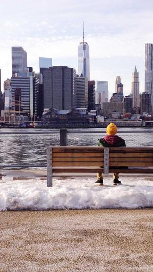 搭建蜘蛛池交易网站截图1