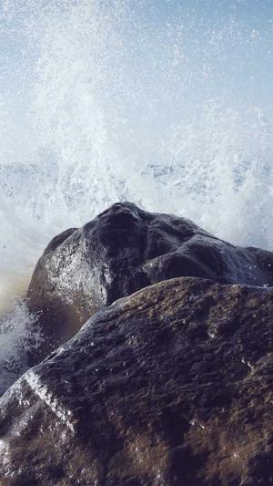 广州网站建设截图5