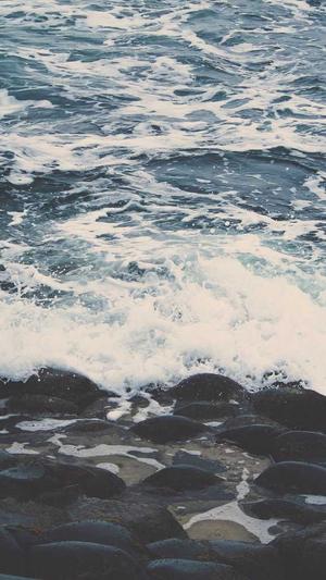 网站建设策划截图3