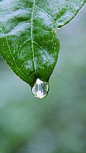 深圳外贸网站建设截图3