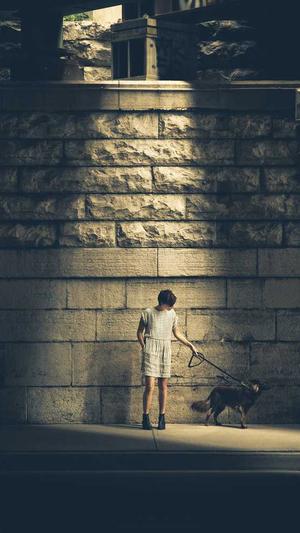 青岛网站建设截图1