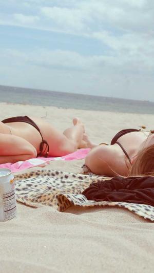 seo布局工具截图4