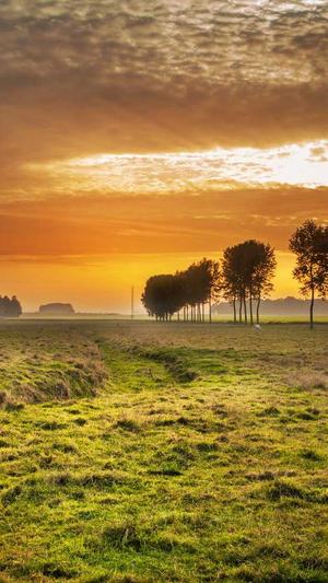 郴州网站建设截图5