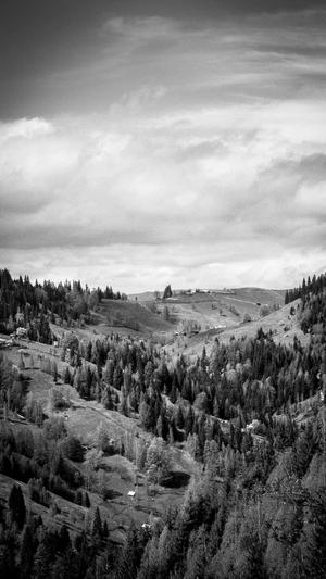 蜘蛛池使用视频截图1