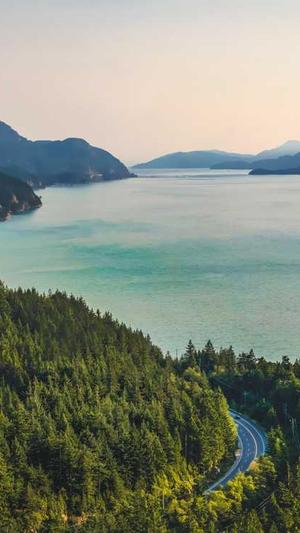 站长工具seo推广 站长工具查询截图2