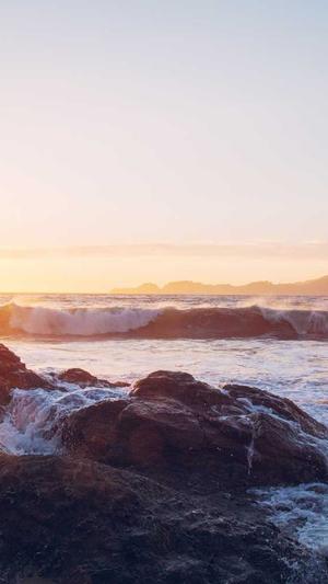 百度蜘蛛池哪家好截图4